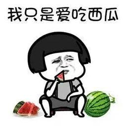 吃娱乐的瓜是什么意思,网络时代下的娱乐八卦文化现象